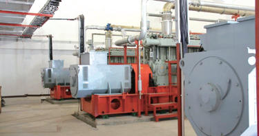 300系列煤制煤氣發(fā)電機(jī)組