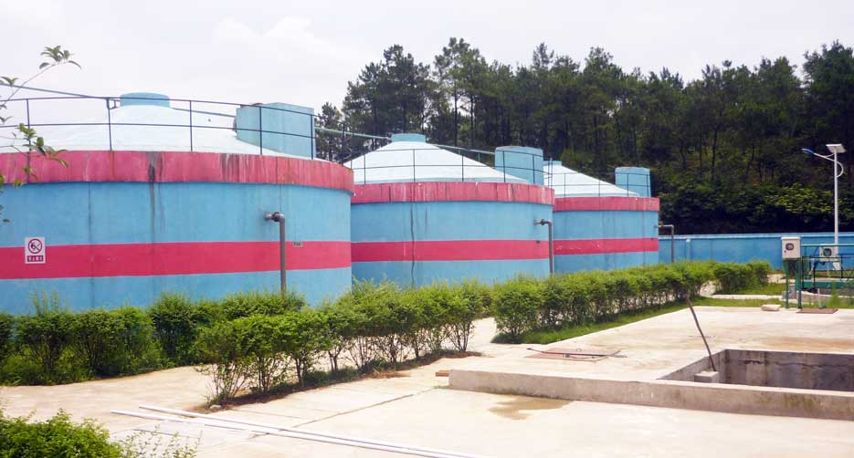 養(yǎng)殖場沼氣發(fā)電機組